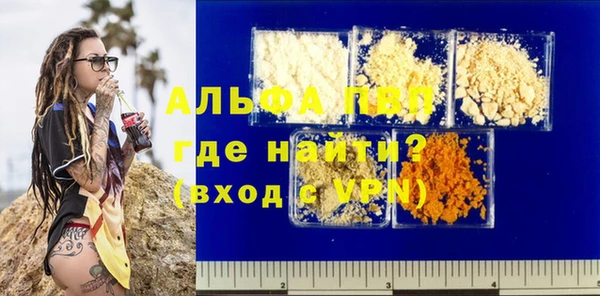 гашиш Богданович