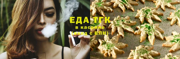 гашиш Богданович
