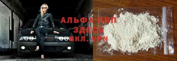 гашиш Богданович