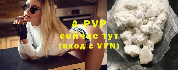 ECSTASY Пестово